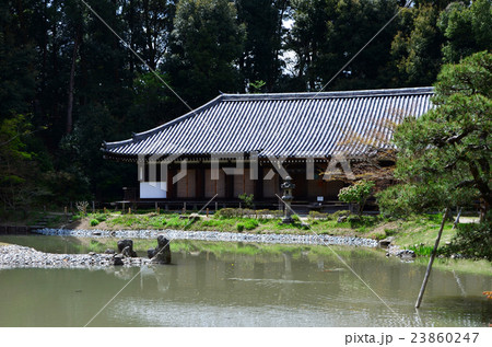 浄瑠璃寺(2016.4) 浄瑠璃寺(2016.4) 23860247