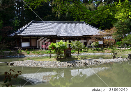 浄瑠璃寺（2016.4） 23860249