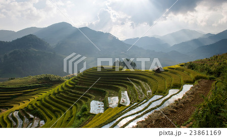 Rice fields on terrace in rainy season Rice fields on terrace in rainy season 23861169