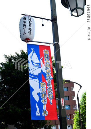 高円寺・阿波踊り 23861948
