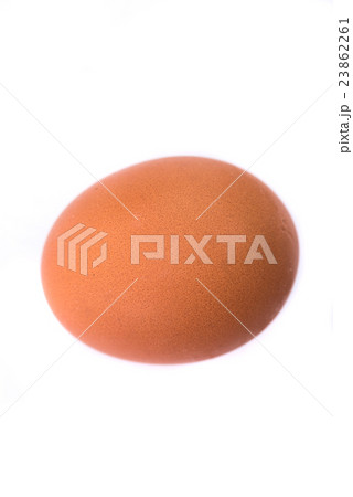 Fresh chicken egg 23862261