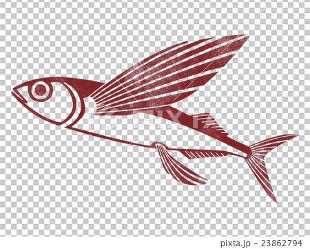 トビウオ　飛魚　イラスト 23862794