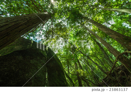 愛媛　滑床渓谷 23863137