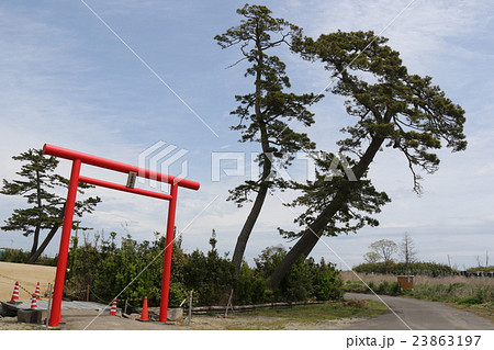 八重垣神社 23863197