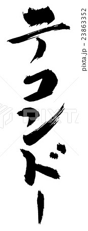 テコンドー　Tae Kwon Do 23863352