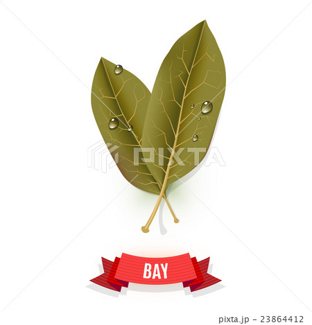 Bay leaves Bay leaves 23864412