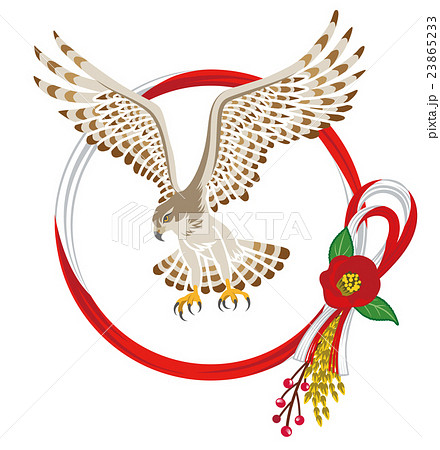 鷹と水引き飾り 年賀状素材のイラスト素材