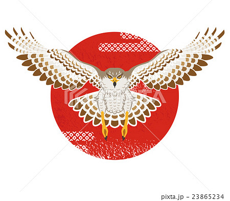 Hawk And Sun New Year S Card Material Stock Illustration