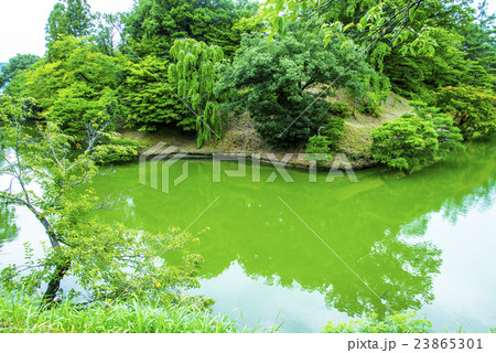 本丸土塁の隅欠(すみおとし)  23865301