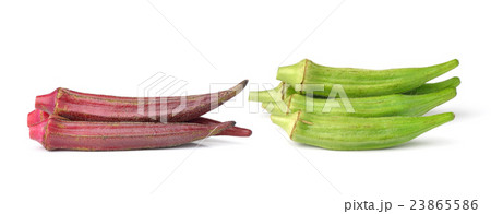 Hibiscus sabdariffa or roselle fruits isolated Hibiscus sabdariffa or roselle fruits isolated 23865586