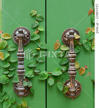 Door handle on green wooden door Door handle on green wooden door 23865597