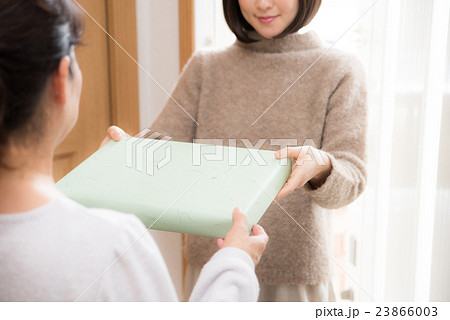贈り物 女性 贈り物 女性 23866003