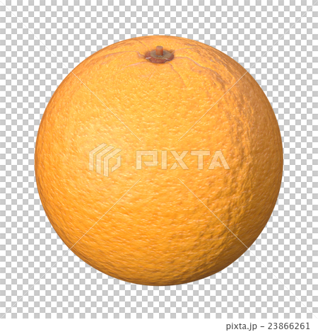 フルーツのオレンジの3Dレンダリング画像 フルーツのオレンジの3Dレンダリング画像 23866261