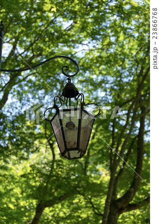 森の中のランプ、箱根、神奈川県 23866768