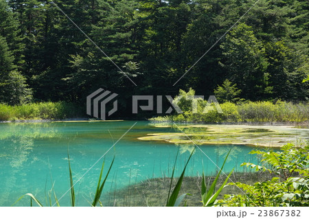 五色沼（福島）青沼 23867382