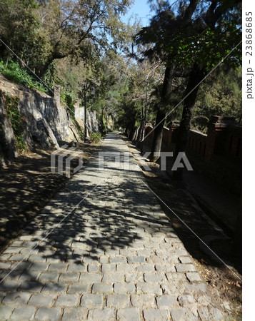 グエル公園の綺麗な道 グエル公園の綺麗な道 23868685