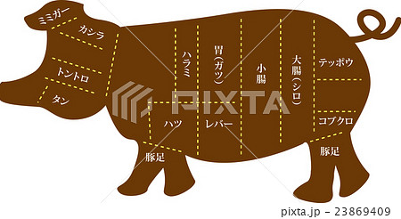 豚肉 内臓部位の名称のイラスト素材