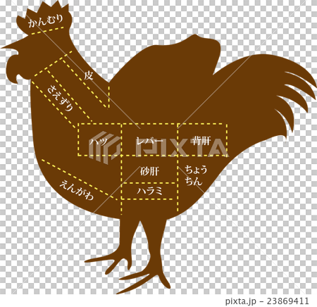 雞內臟的名稱 雞內臟的名稱 23869411