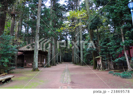 飯高寺の参道（日本最古の大学）：千葉県匝瑳市 23869578