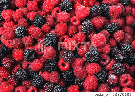 Raspberry and blackberry Raspberry and blackberry 23870102