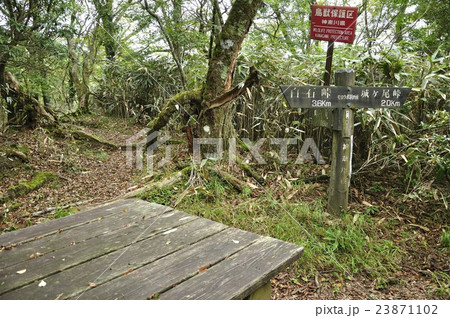 丹沢山地 モロクボ沢ノ頭 丹沢山地 モロクボ沢ノ頭 23871102