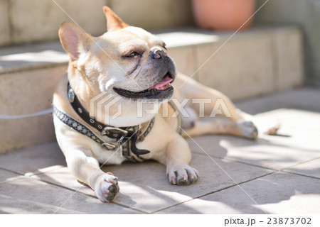 夏のクールダウン 夏のクールダウン 23873702