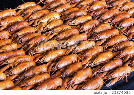 Many crawfishes 23874086