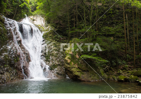 愛媛県宇和島市　薬師谷渓谷　雪輪の滝 23875842