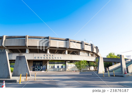 鳥屋野運動公園野球場 23876187