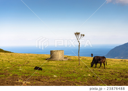 Hachijojima Island, Japan Hachijojima Island, Japan 23876488