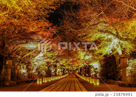 石山寺紅葉ライトアップの写真素材