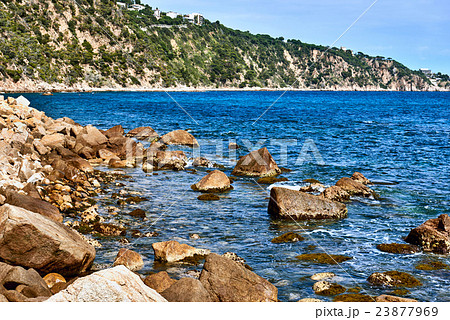 Rocky seaside of Punta Brava 23877969