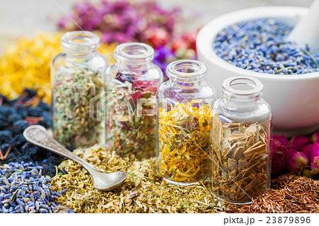 Bottles of healing herbs and mortar with lavender Bottles of healing herbs and mortar with lavender 23879896