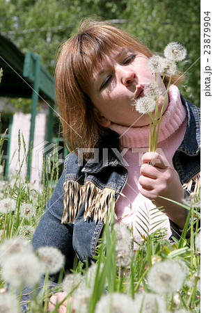 woman and dandelion 23879904