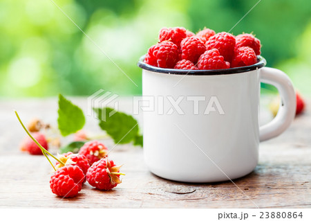 Fresh raspberries in white enamelled mug Fresh raspberries in white enamelled mug 23880864
