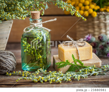 Tarragon tincture, healthy herbs and soap bars 23880981
