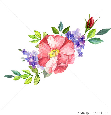 Hand painted watercolor vector floral bouquet 23881067