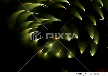 伊丹花火大会 伊丹花火大会 23881097