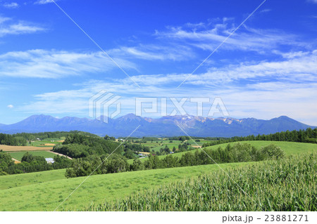 北海道　美瑛町　十勝岳連峰と美瑛の丘 23881271