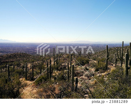アリゾナ州 23881289
