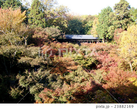 東福寺 東福寺 23882169