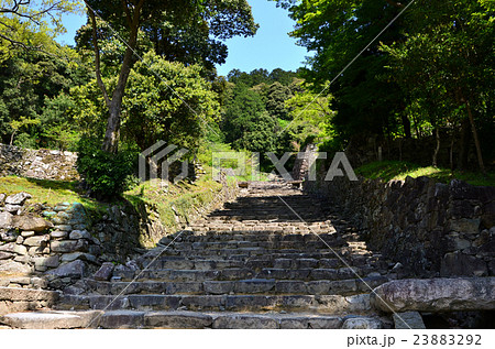 安土城跡　大手道（2016.4） 23883292