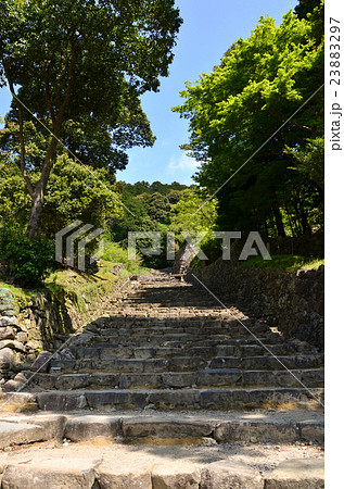 安土城跡 大手道(2016.4) 安土城跡 大手道(2016.4) 23883297