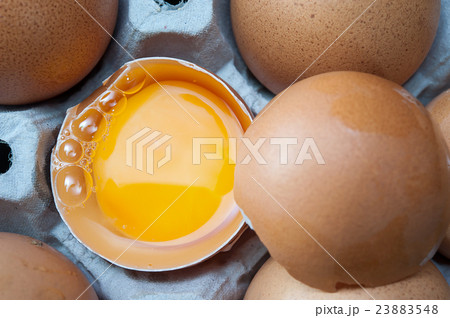 Eggs in panel Eggs in panel 23883548