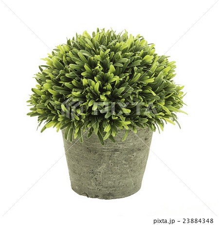 flowerpot flowerpot 23884348