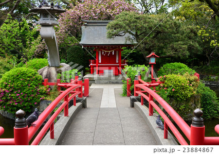 三島大社　厳島神社（2016.4） 23884867