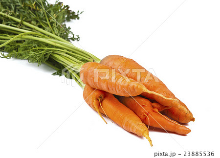 carrot isolated carrot isolated 23885536