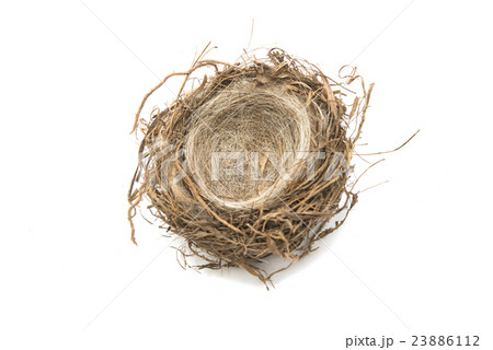 bird's nest isolated 23886112