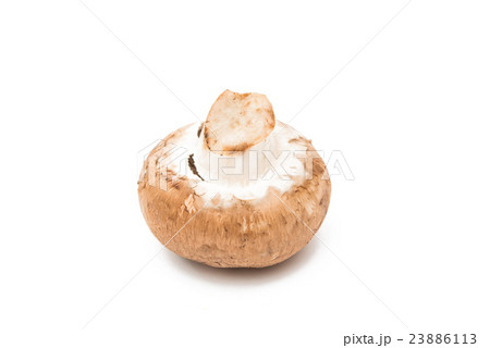 Brown champignon mushroom Brown champignon mushroom 23886113