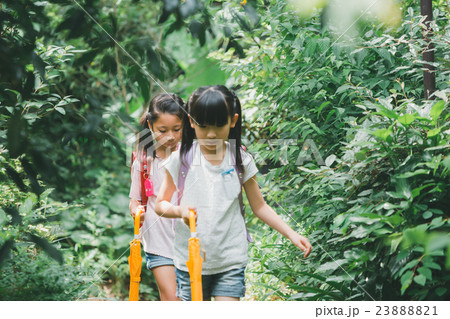 primary school child primary school child 23888821